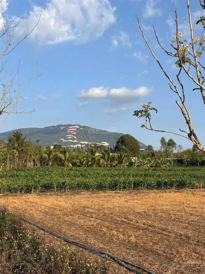 Bán đất thổ cư sổ riêng khu phố thọ trung, view núi chứa chan  xuân lộc  đồng nai chỉ 4xxtr