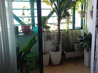 Căn hộ 2 bancong indochina park tower, 7,5 tỷ, 105m2, sẵn sổ hồng.