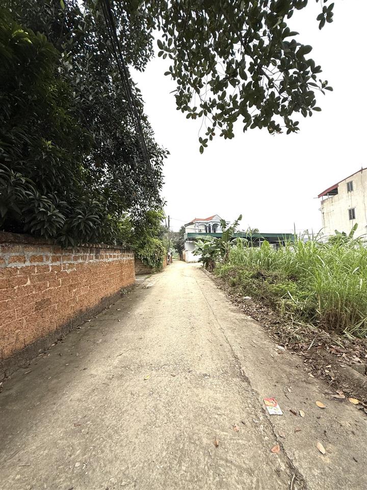 Đất dân cắt bán hoà lạc tuyến 2 tỉnh lộ 420 giá rẻ hơn 56 giá so với thị trường