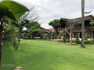 Đất 3180m2 chuyển full thổ cư tại đường liên ấp 56, phước tuy, cần đước, pháp lý đầy đủ.