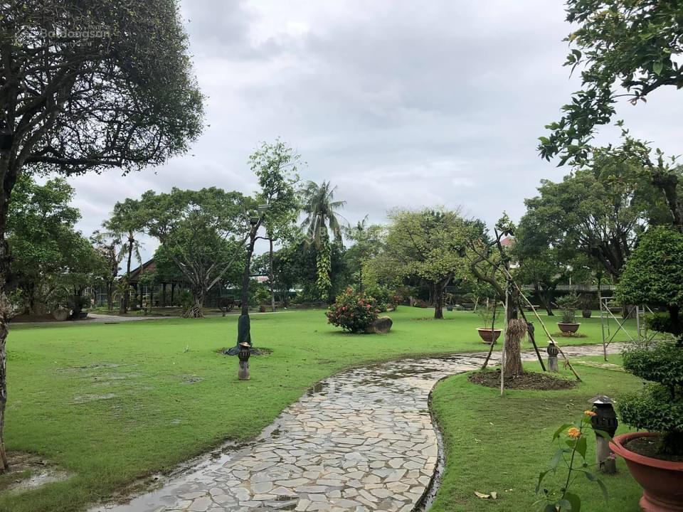 Đất 3180m2 chuyển full thổ cư tại đường liên ấp 56, phước tuy, cần đước, pháp lý đầy đủ.