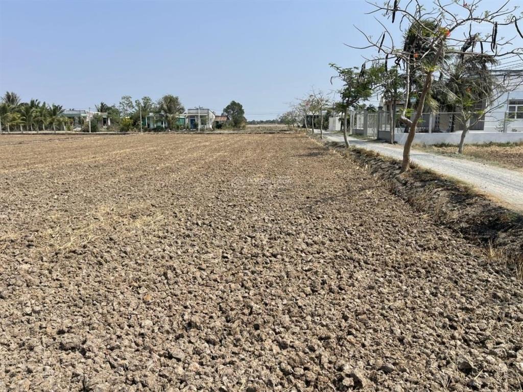 Đất 3180m2 chuyển full thổ cư tại đường liên ấp 56, phước tuy, cần đước, pháp lý đầy đủ.