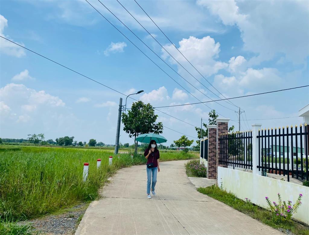 Đất 3180m2 chuyển full thổ cư tại đường liên ấp 56, phước tuy, cần đước, pháp lý đầy đủ.
