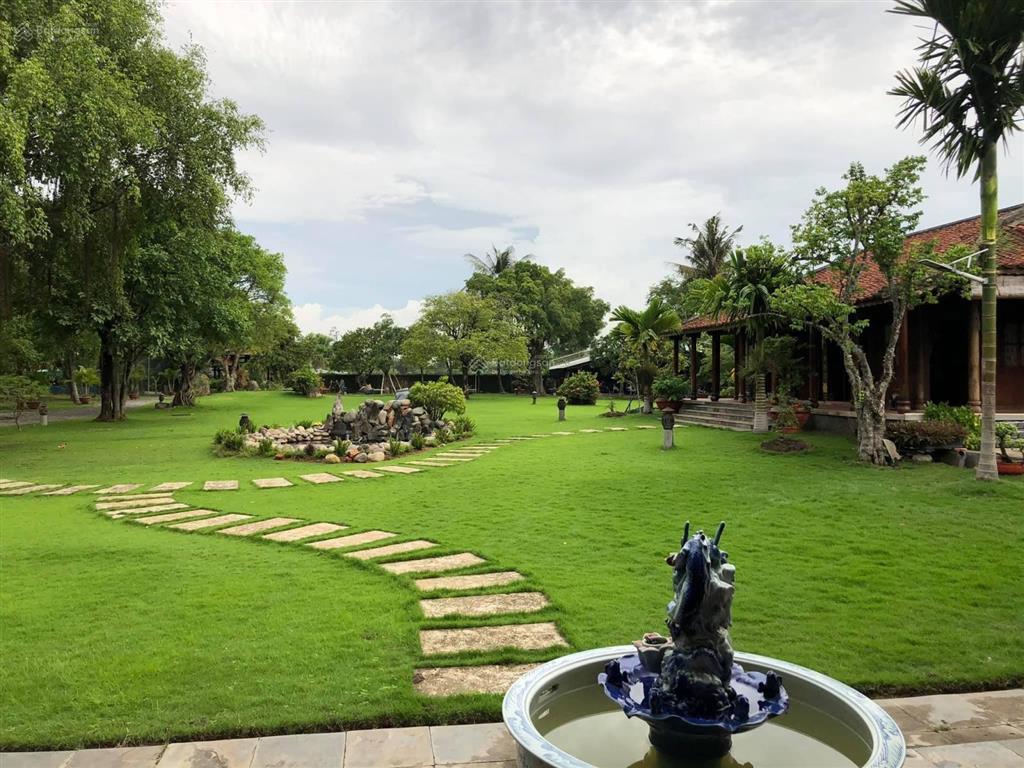 Đất 3180m2 chuyển full thổ cư tại đường liên ấp 56, phước tuy, cần đước, pháp lý đầy đủ.