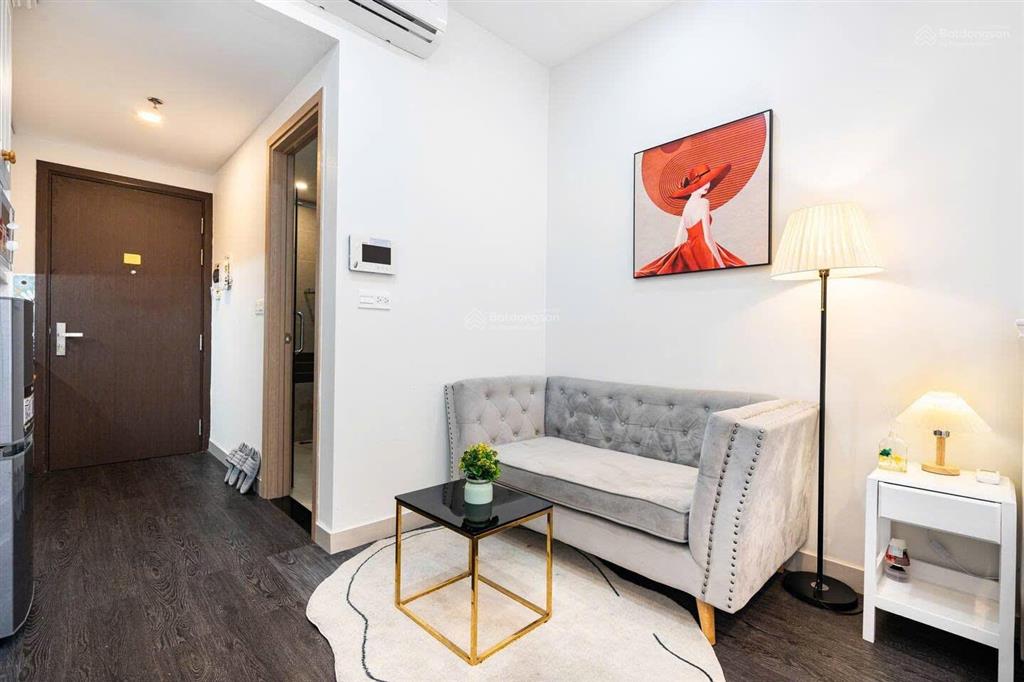 Studio rivergate 30m² xinh xắn, vị trí sát q1 chỉ 12,5 triệu/tháng  nội thất đầy đủ