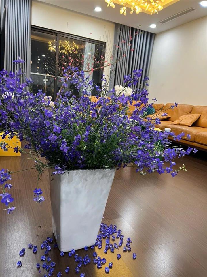 Bán cc luxury park views, 14,5 tỷ, 119m2, p yên hòa, q.cầu giấy, hn bao đẹp giá tốt
