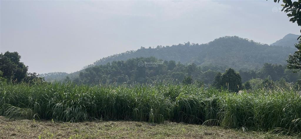 Giá siêu tốt 7.02 tỷ, 1.080m2 sẵn 300m thổ, đông nam, view núi, mặt tiền 30m. chủ thật 100%.