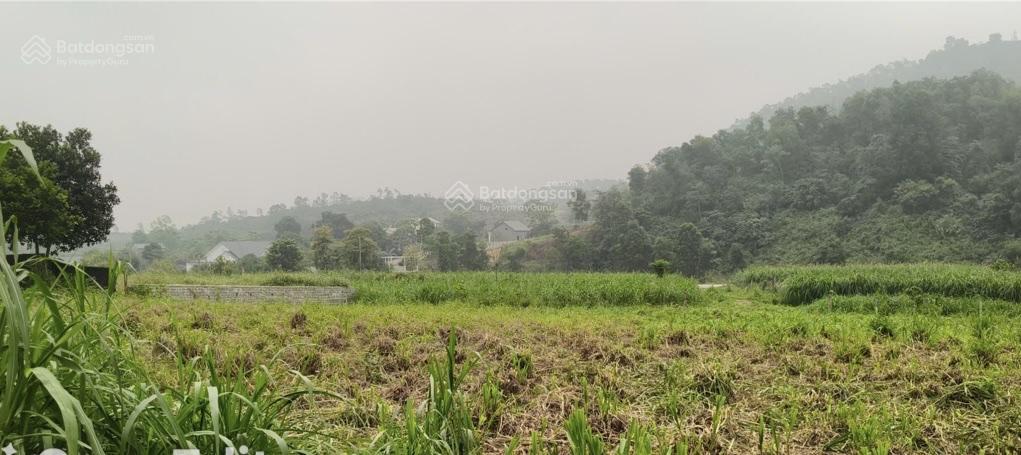 Giá siêu tốt 7.02 tỷ, 1.080m2 sẵn 300m thổ, đông nam, view núi, mặt tiền 30m. chủ thật 100%.