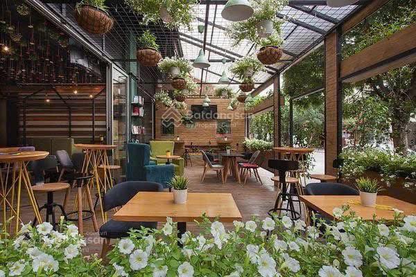 Cho thuê nhà mặt phố  biệt thự sân vườn nguyễn thị định  220m² x 3 tầng thông sàn, lô góc nổi bật