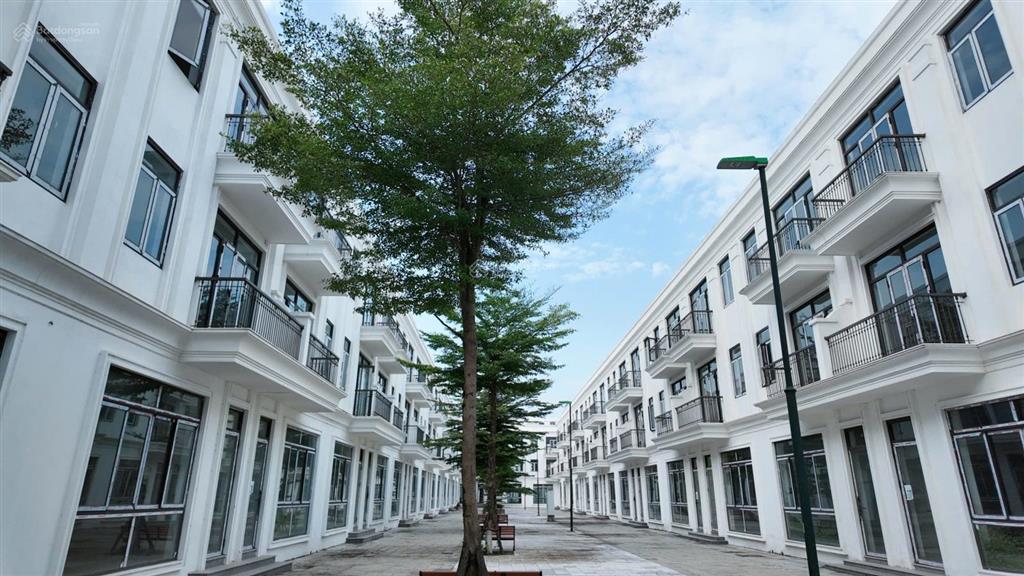 Chỉ 10,x tỷ sở hữu ngay liền kề 135m² đối diện trường học, mặt tiền 6m tại hud mê linh