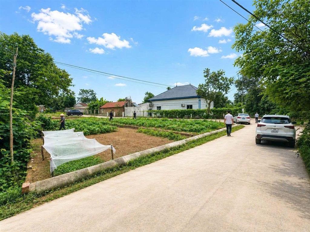 Chỉ cần 650 triệu là sở hữu đất sổ đỏ sóc sơn, đường 2 ô tô tránh!
