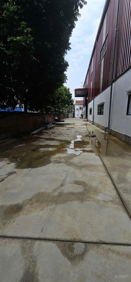 Cho thuê kho tiêu chuẩn mới dựng, pháp ký xuất vat đầy đủ, pccc hạng c, điện 3p,container lùi xưởng
