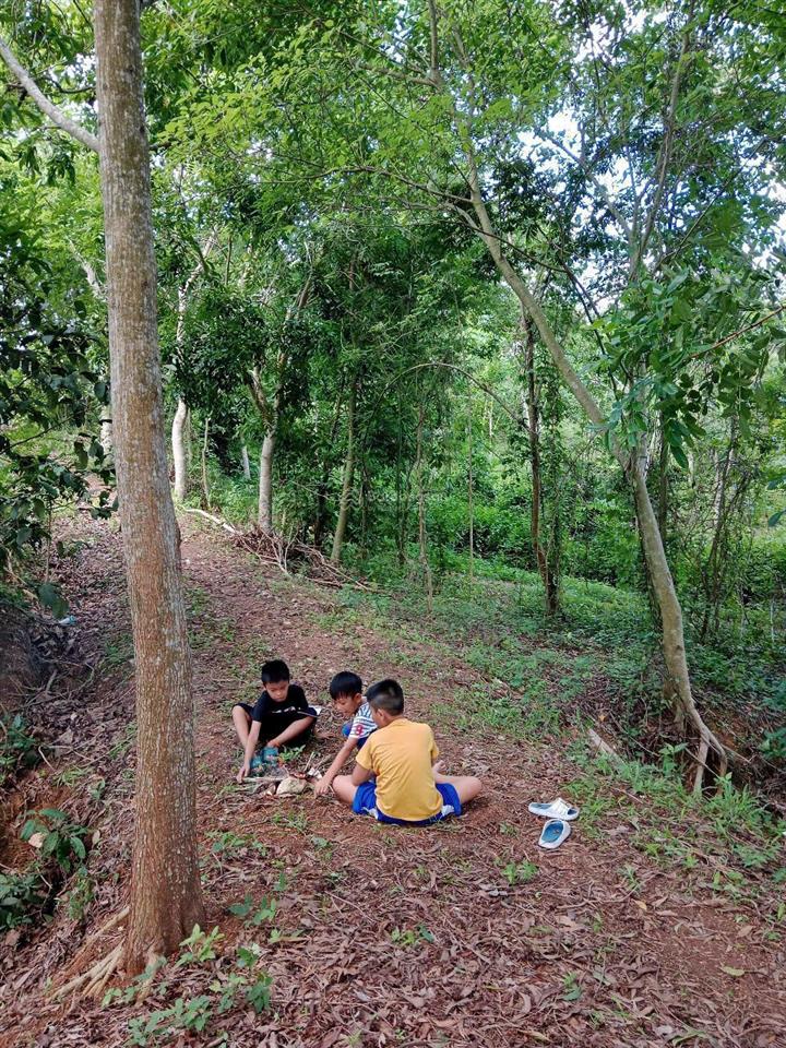 Bán đất nông nghiệp (đang được chăm sóc đẹp)