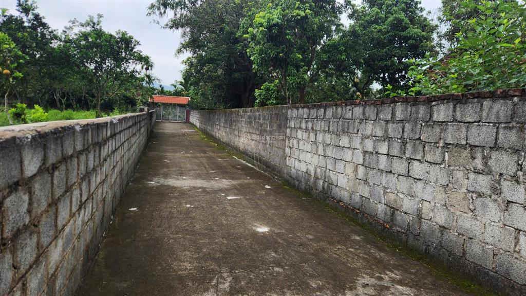 Cần bán mảnh đất ở khu đoàn kết, thị trấn ba hàng đồi, huyện lạc thủy, tình hòa bình.