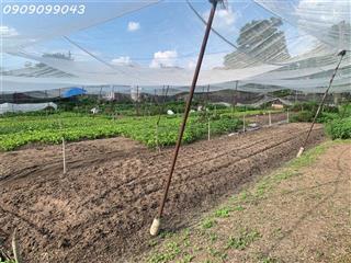 GẤP BÁN ĐẤT 1.560m² – TRẦN THỊ BỐC – GẦN NGÃ TƯ ĐẶNG THÚC VỊNH-HOC MÔN