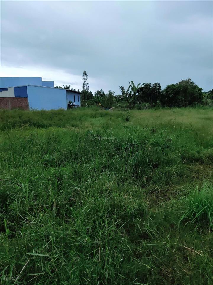 Bán đất mỹ phú, thủ thừa, long an