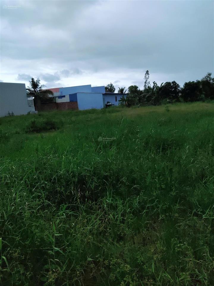 Bán đất mỹ phú, thủ thừa, long an