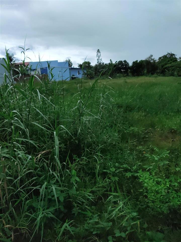 Bán đất mỹ phú, thủ thừa, long an