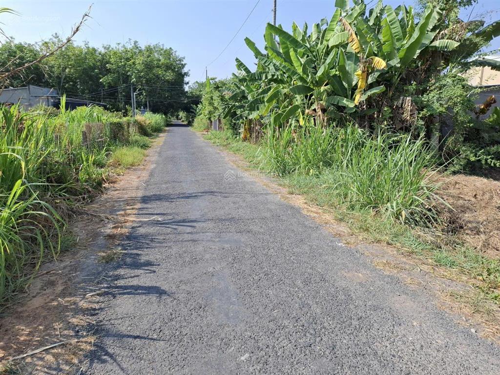 515m2 phù hợp đất ở đô thị. đường nhựa phường an tịnh. 779tr
