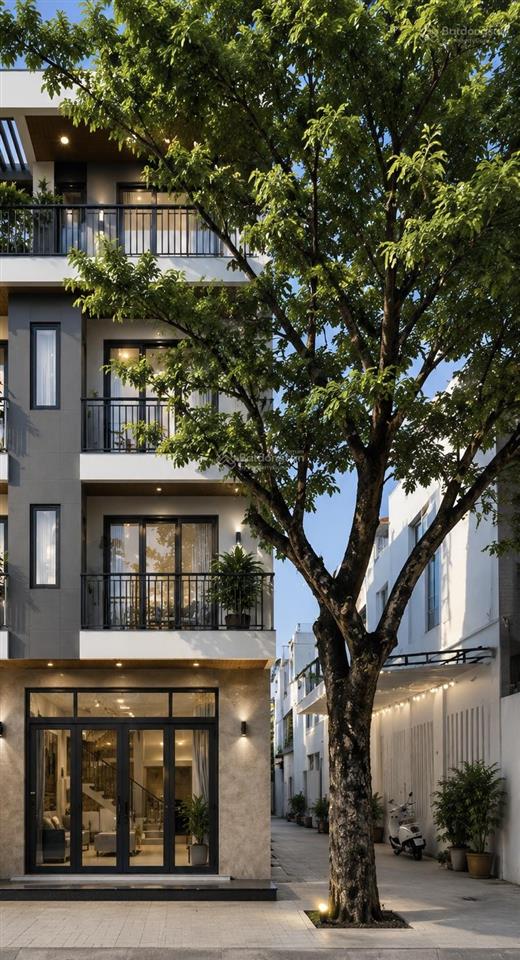 Nhà căn hộ cho thuê full kẹp vệt cây xanh 5m