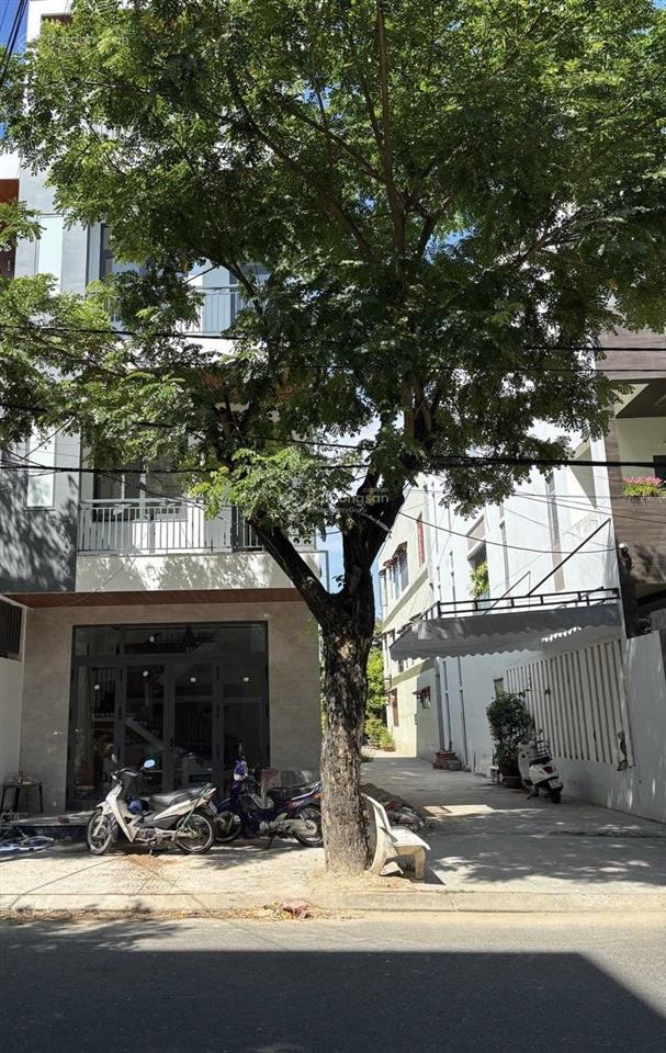 Nhà căn hộ cho thuê full kẹp vệt cây xanh 5m