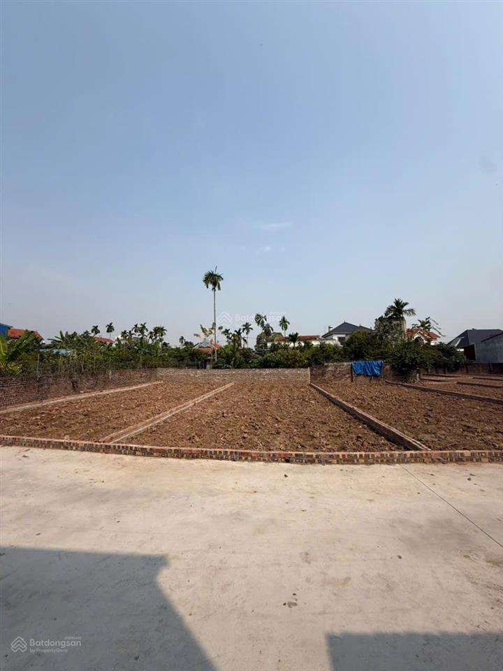 Bán rẻ bất ngờ 100m2 đất ở  sđcc  ngõ ôtô 4,5m  24triệu/m2  thôn đức nhuậntriệu việt vươnghy
