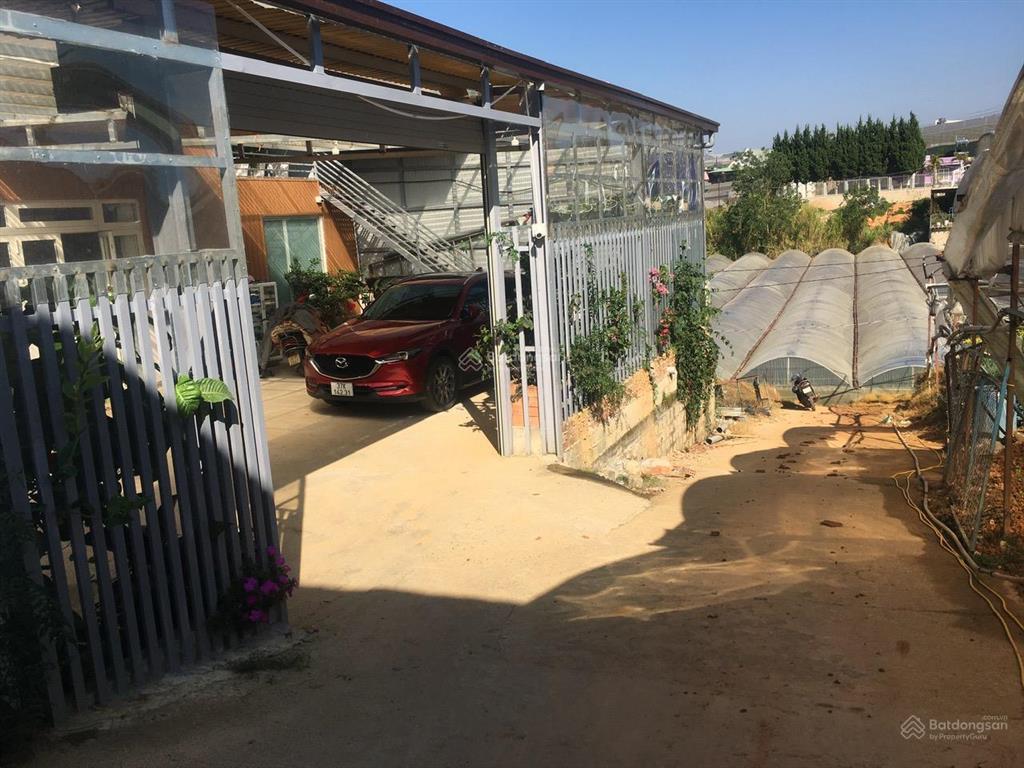 Bán đất đẹp huỳnh tấn phát đà lạt, giá 890 triệu