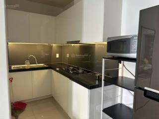 Cho thuê gấp cc 1pn, 15 triệu, 54m2 tại sunrise city, q7, hcm