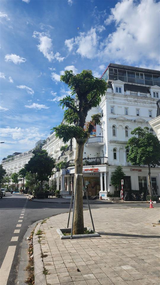 Cần bán liền kề louis city đại mỗ, đường 13m, vỉa hè, kinh doanh, ô chờ thang máy, 100m2x5t giá 25t