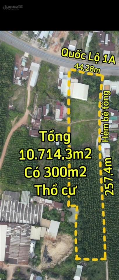 Bán đất 11000m2 mặt tiền đường quốc lộ 1a 45m² có 300m² thổ cư
