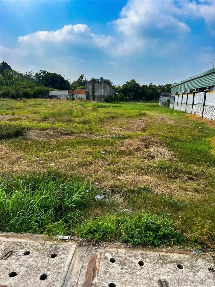 Bán nhanh lô đất tân an hội củ chi