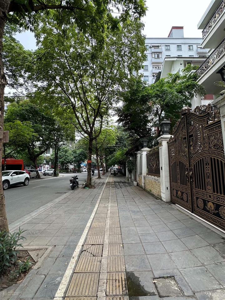 Gia đình bán nhà mặt phố trương công giai, cầu giấy. diện tích 138m2, 3 tầng, mt 10.5m. giá 92 tỷ