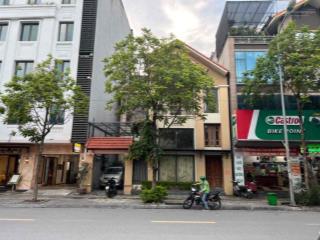 Chính chủ cho thuê nhà số 18 phố trương công giai, cầu giấy. dt 140m2 x3 tầng, mặt tiền 10.5m