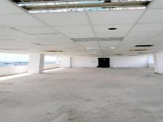 Thuê văn phòng tầng mái 244.3m² athena building 146148 cộng hòa  giá tốt nhất khu vực