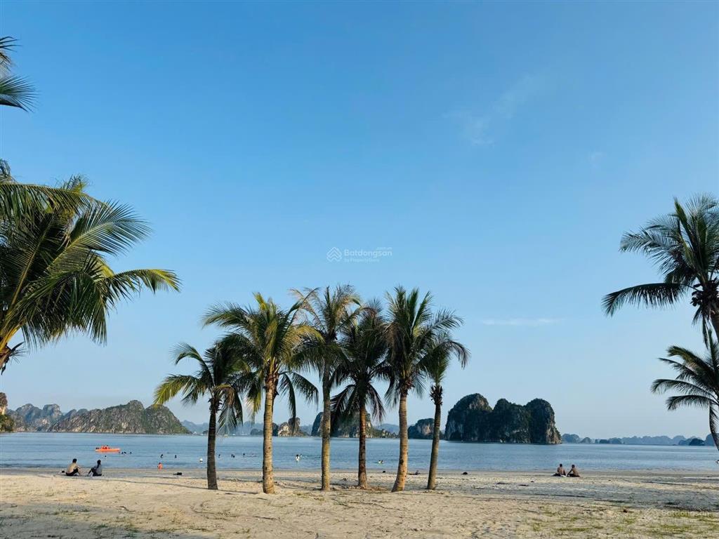 Bán cc vân bay tower, 1,x tỷ, 32m2, siêu hot bao đẹp tại vân đồn cơ hội đầu tư vàng tại quảng ninh