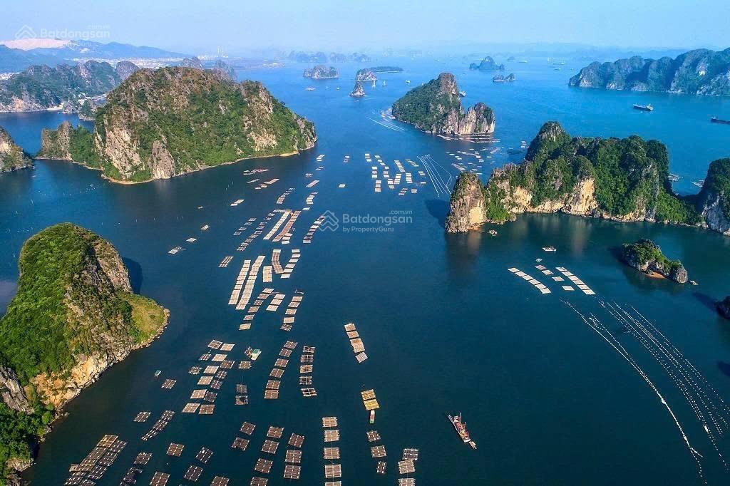 Bán căn 1pn + tại dự án vân bay vân đồn  view vịnh bái tử long  chỉ với 2, x tỷ  đặc khu vân đồn