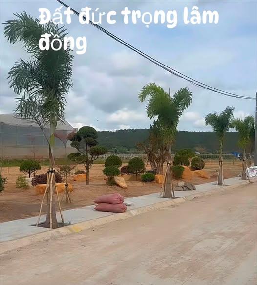 Ngõ Đồng Dao (trục Thống Nhất rẽ vào), xã Đức Trọng, Lâm Đồng.