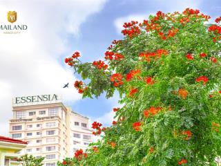 Cho thuê căn hộ tầng 2 splendora 110m², 2pn, có sân chơi riêng
