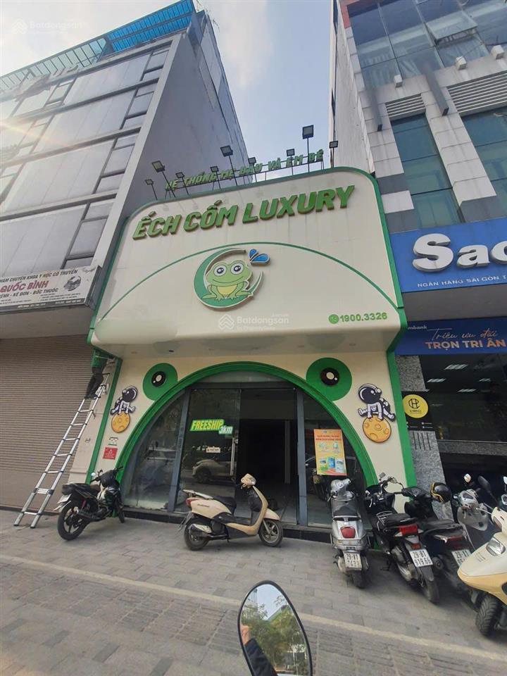 Cho thuê mặt bằng tầng 1 mặt phố nguyễn thái học, diện tích 100m2, mt 6m, phố vip kinh doanh đỉnh