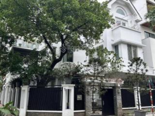 Cho thuê nhà mặt phố đào tấn, lô góc, 140m x 3,5 tầng, có sân vườn, phù hợp kinh doanh thương hiệu