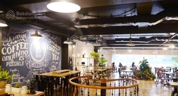 Lô góc mặt phố mai hắc đế, dt 160m2 x 2.5 tầng, hàng hiếm mới lên thị trường