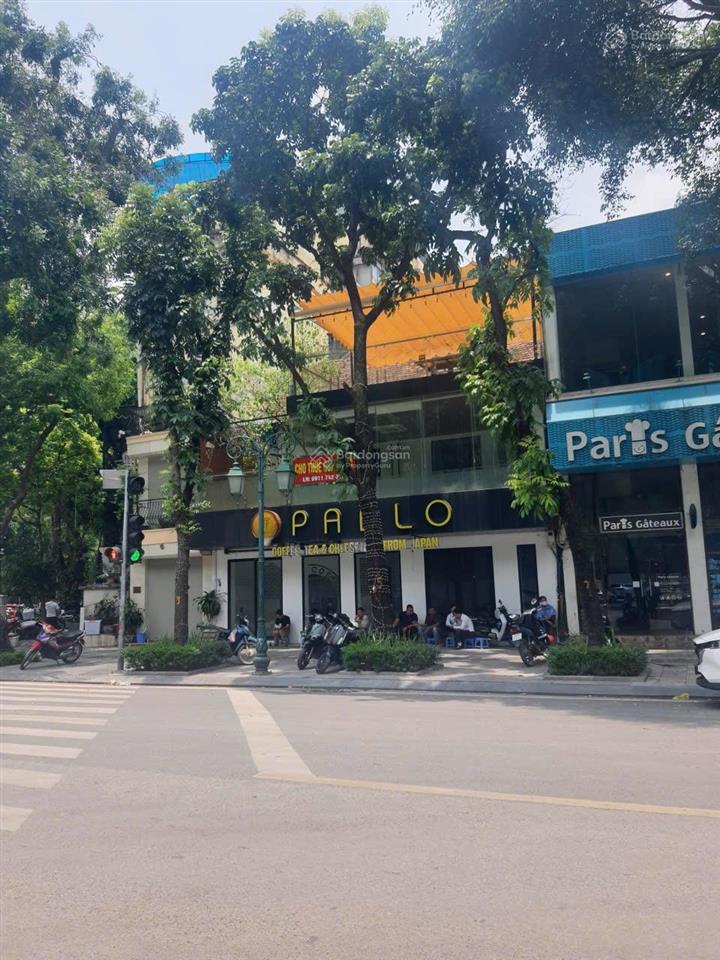 Mặt tiền miên man 10m, mặt phố đào tấn, 80m² x 3 tầng, kd đa ngành, tệp khách cao cấp