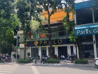 Mặt tiền miên man 10m, mặt phố đào tấn, 80m² x 3 tầng, kd đa ngành, tệp khách cao cấp