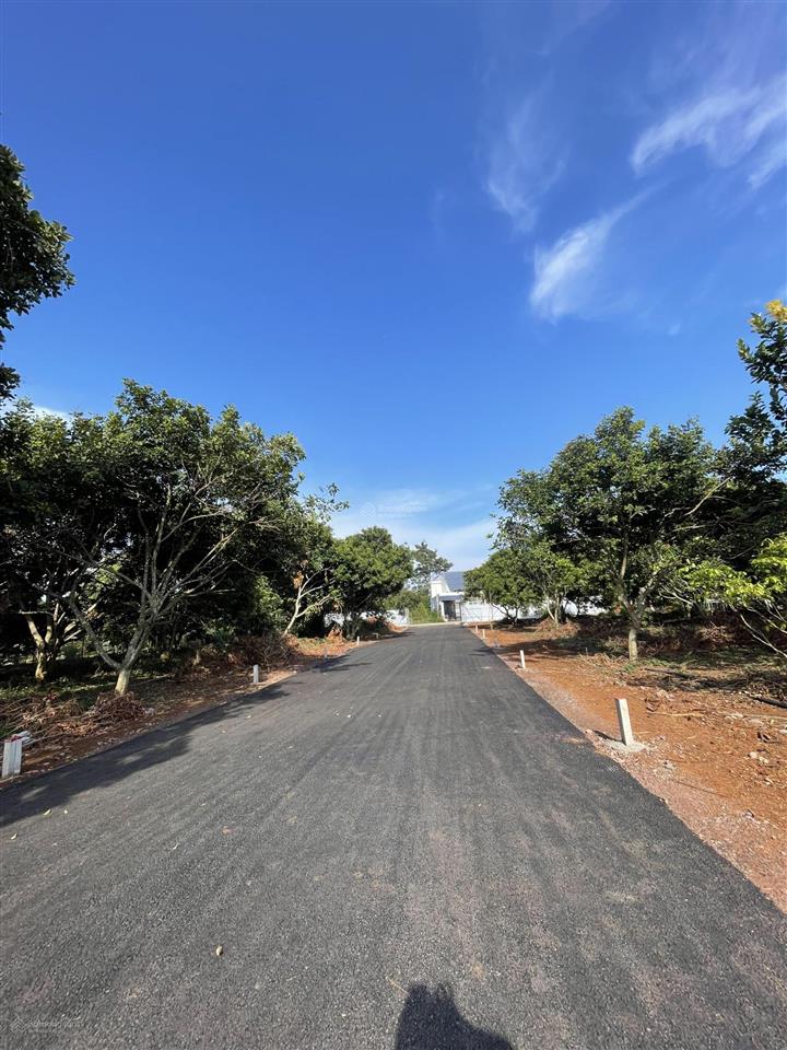 Đất nền 6,5x20 chỉ 980tr chính chủ