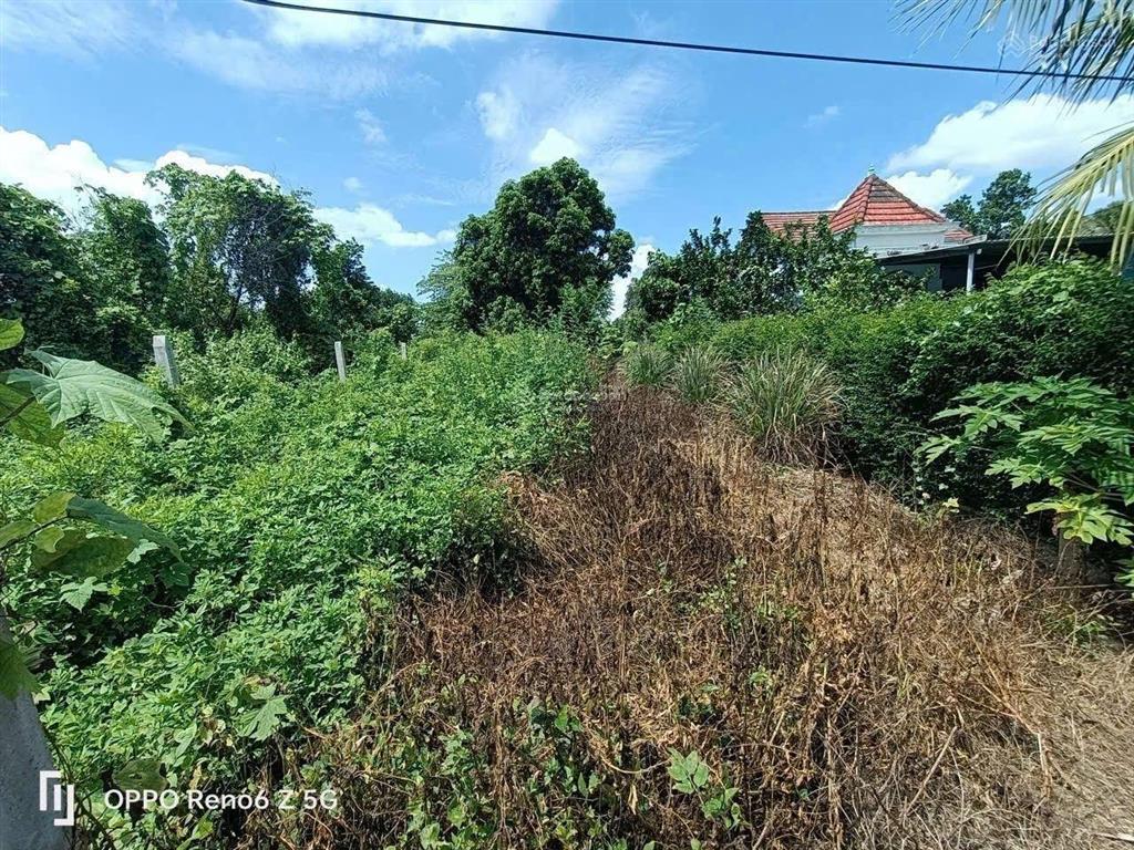 Kẹt tiền cần bán nhanh lô mặt tiền đường nhựa 15m hương lộ 39, xã suối hiệp, tỉnh khánh hòa