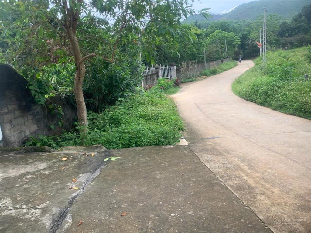 Bán nhà vườn rộng gần trường học xã giáp lai, phú thọ. 700m², 100m ra chục đường chính