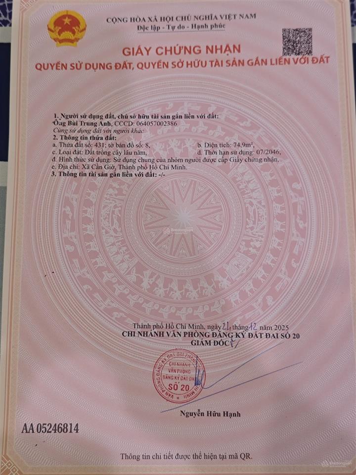 Đất mặt tiền đường duyên hải, cần giờ