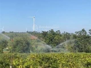 Chính chủ bán hơn 3ha đất rẫy siêu đẹp view điện gió chill! đón đầu cao tốc ngọc hồi  chơn thành