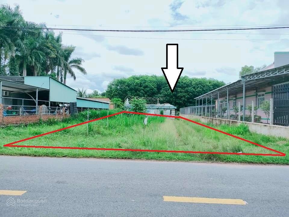 Bán đất thật giá rẻ tại nguyễn thị rành, nhuận đức, củ chi, giá siêu hời 800 triệu,dt 135m2 , shr .
