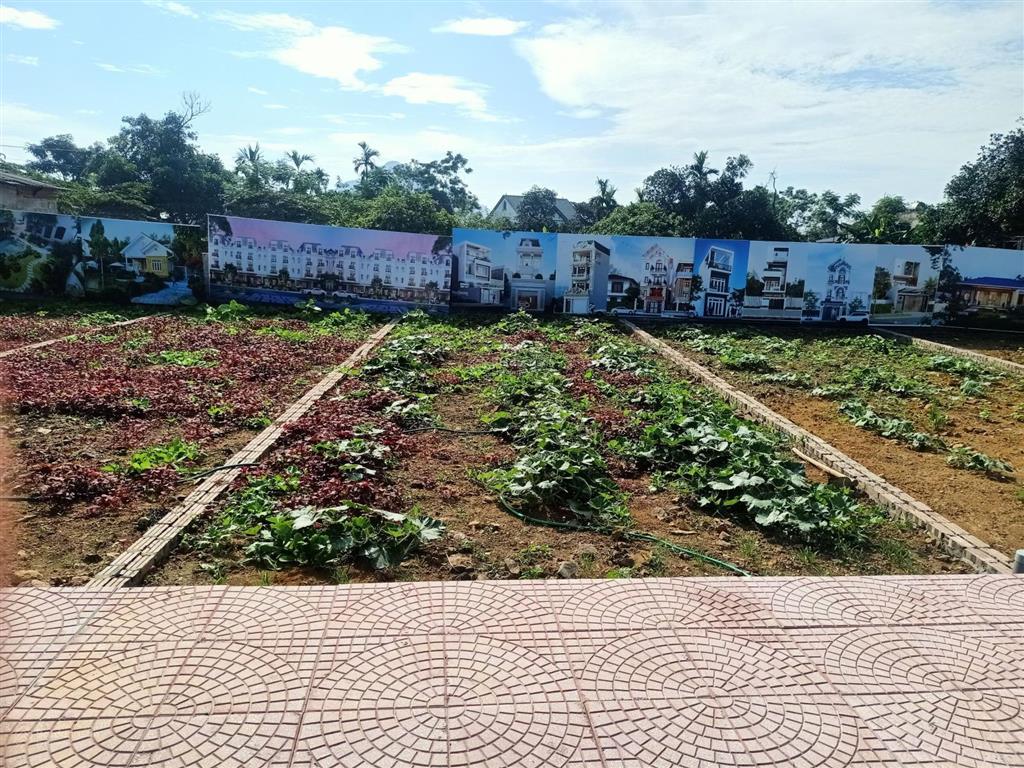Bán đất f0 chương mỹ ở cực đẹp, thanh khoản cực tốt